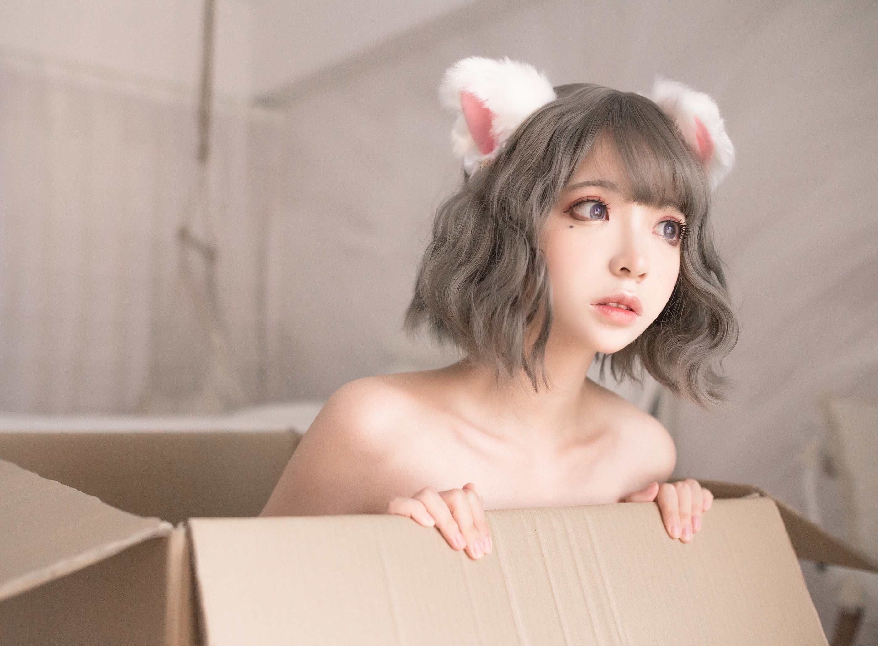 图片[1]-疯猫ss – NO.040 白猫 [30P]-XikXak